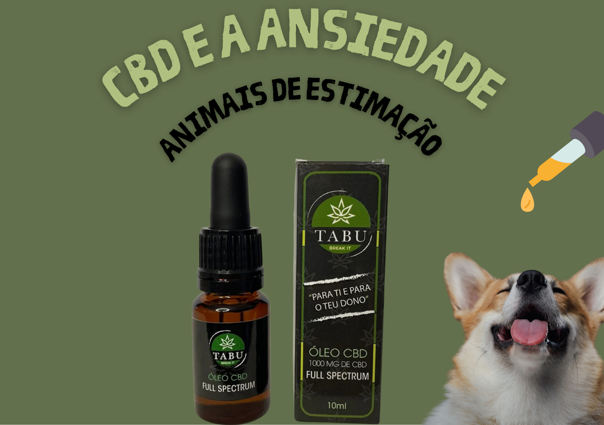 O CBD pode reduzir o stress e ansiedade dos cães durante viagens de carro? Vamos descobrir! Imagen