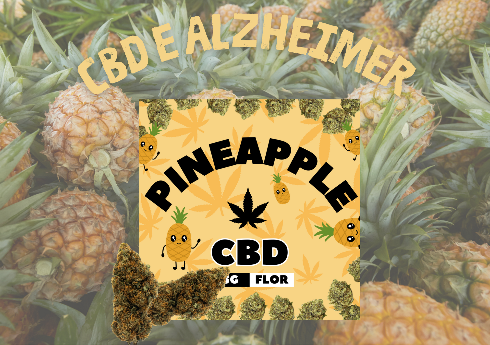 CBD e Alzheimer Imagen