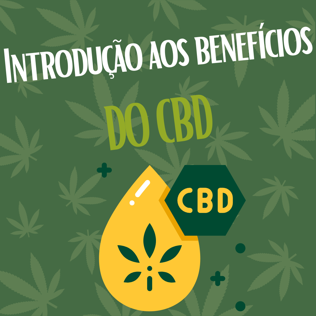 Descobre o CBD: Uma Introdução aos Seus Benefícios Imagen