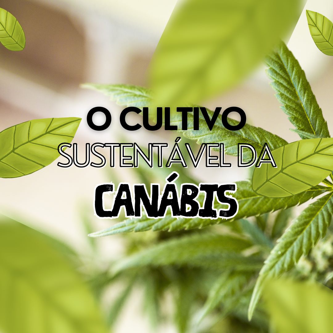 Descobre o Cultivo Sustentável de Cannabis: Práticas Amigas do Ambiente para Produção de CBD de Qualidade. Aproveita a Natureza Responsável e os Benefícios do CBD! Imagen