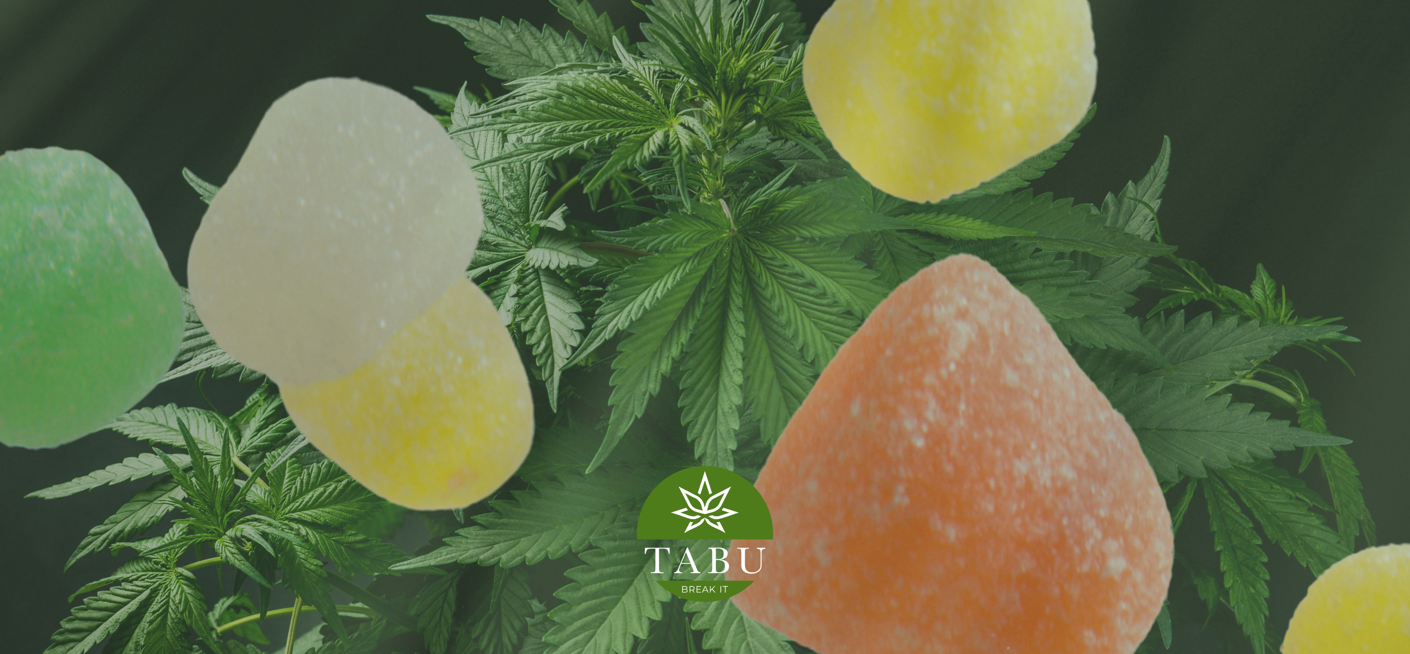 Gomas de 10-OH Premium: O Teu Momento de Relax, Em Forma de Sabor Imagen
