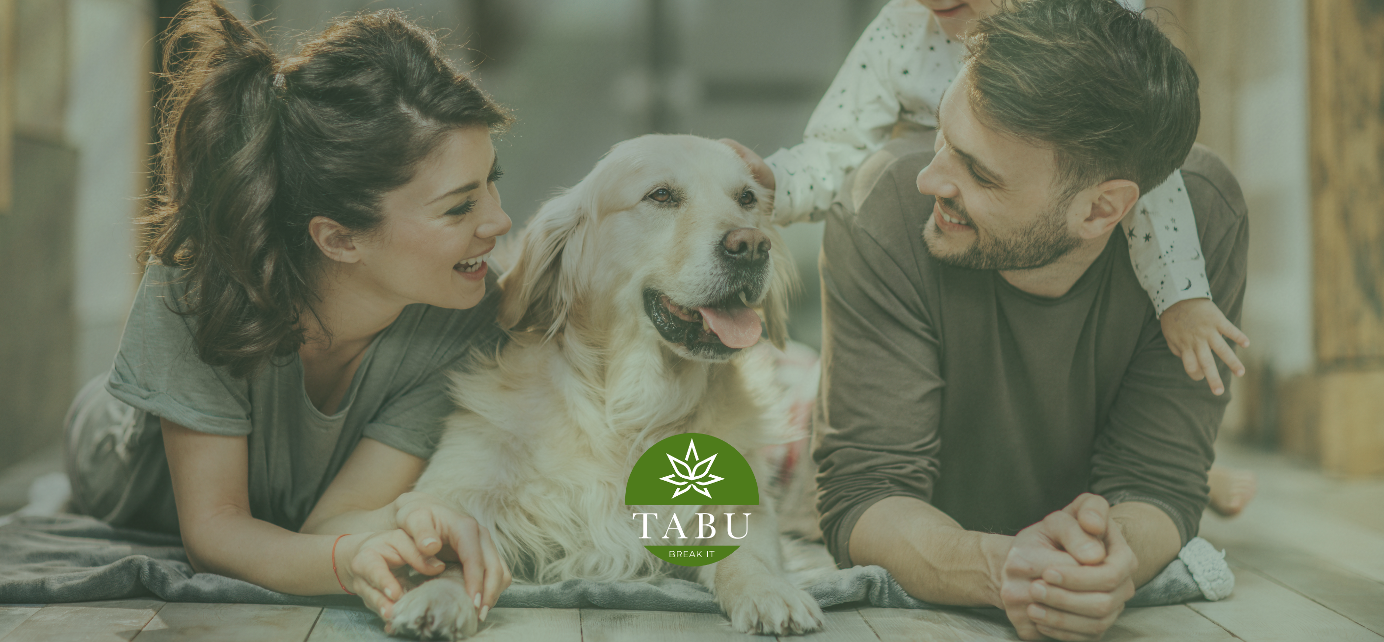 Benefícios do Óleo de Cânhamo para Animais Imagen