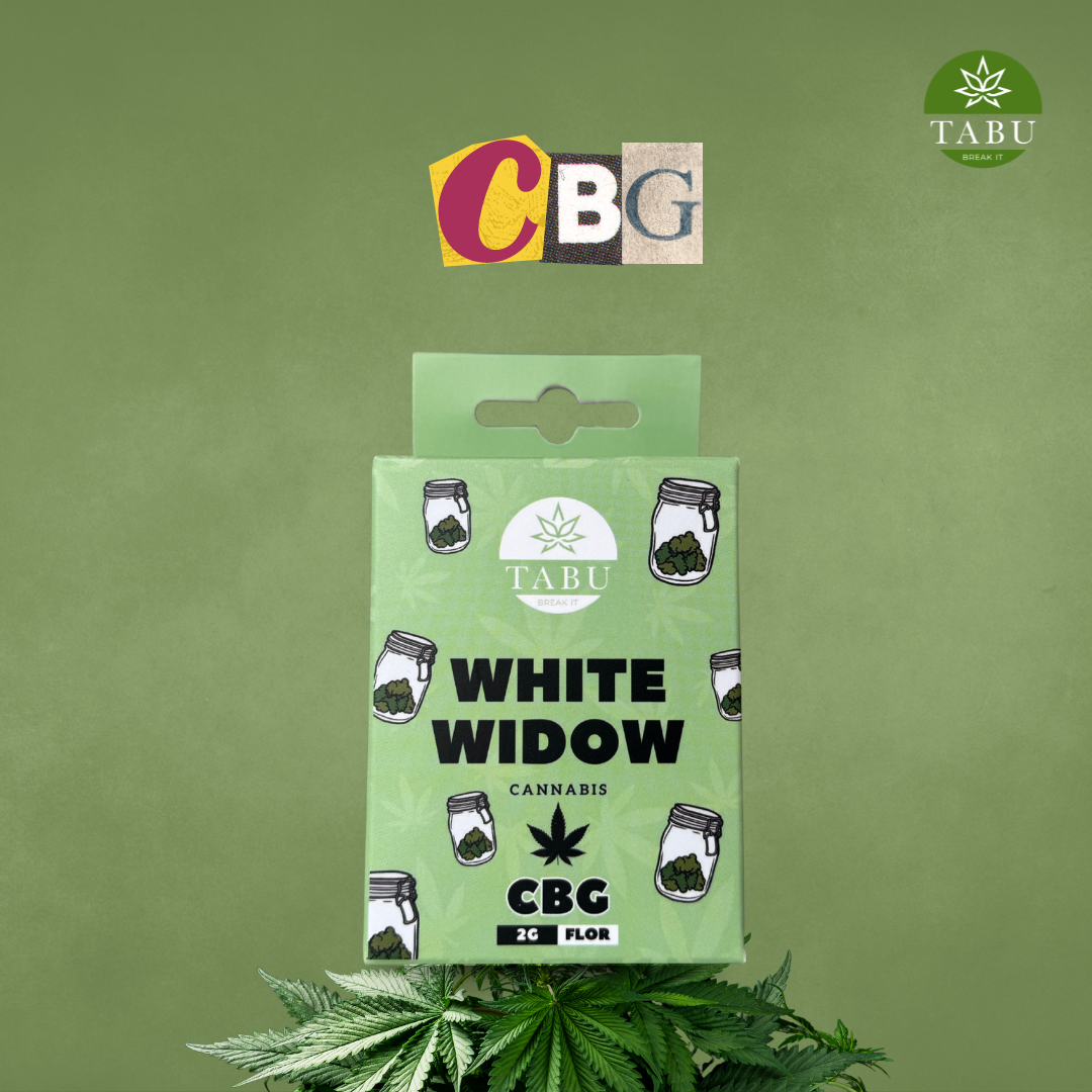 CBG: O que é e como atua? Imagen