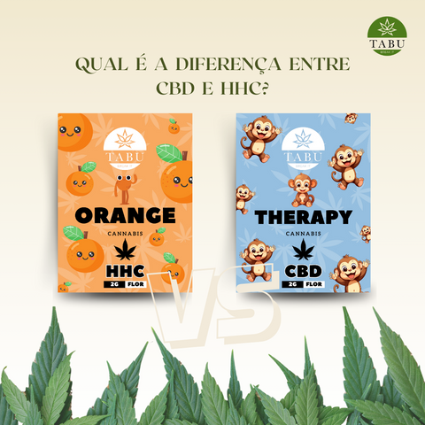 Quais as principais diferenças entre CBD e HHC?