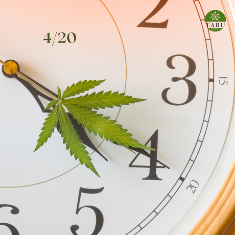 Hoje o dia é nosso! Não deixes capaz esta data tão importante