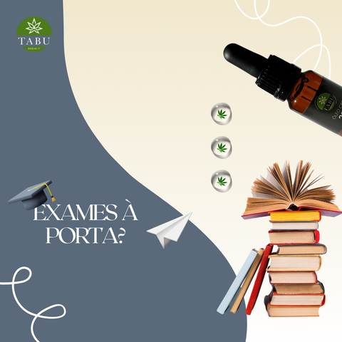 Stress com os Exames Escolares? Temos a solução perfeita