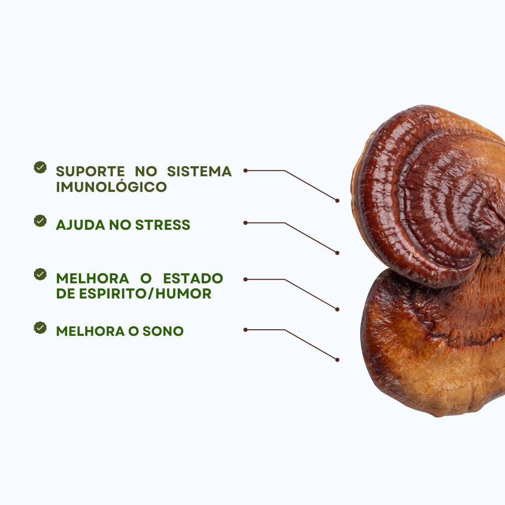 Reishi: mejora el sueño y el estrés