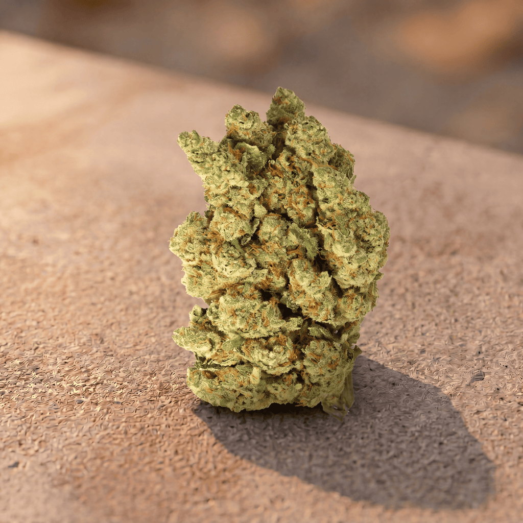Flor de CBD Amnésia Hydro