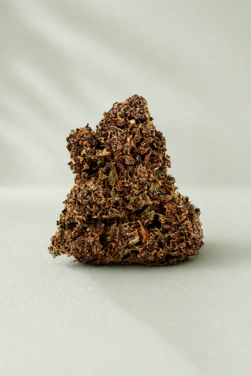 Flor de CBD Legendary sur fond Beldia vert sauge