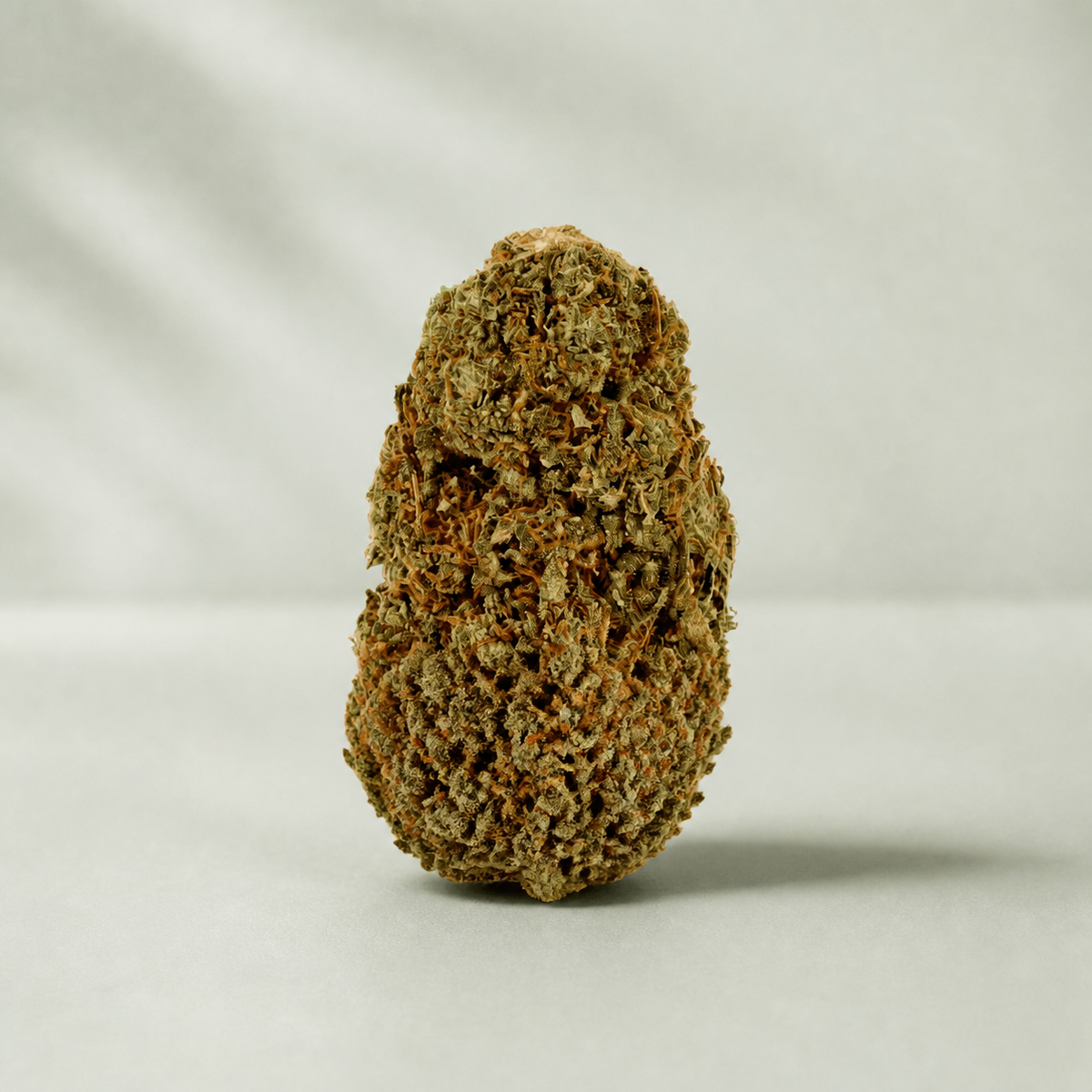 CBD Lemon OG sur fond inspiré Beldia avec ombre réaliste unique