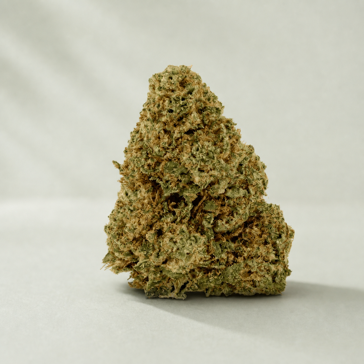 Flor de CBD Lemon Pop sur fond Beldia vert sauge