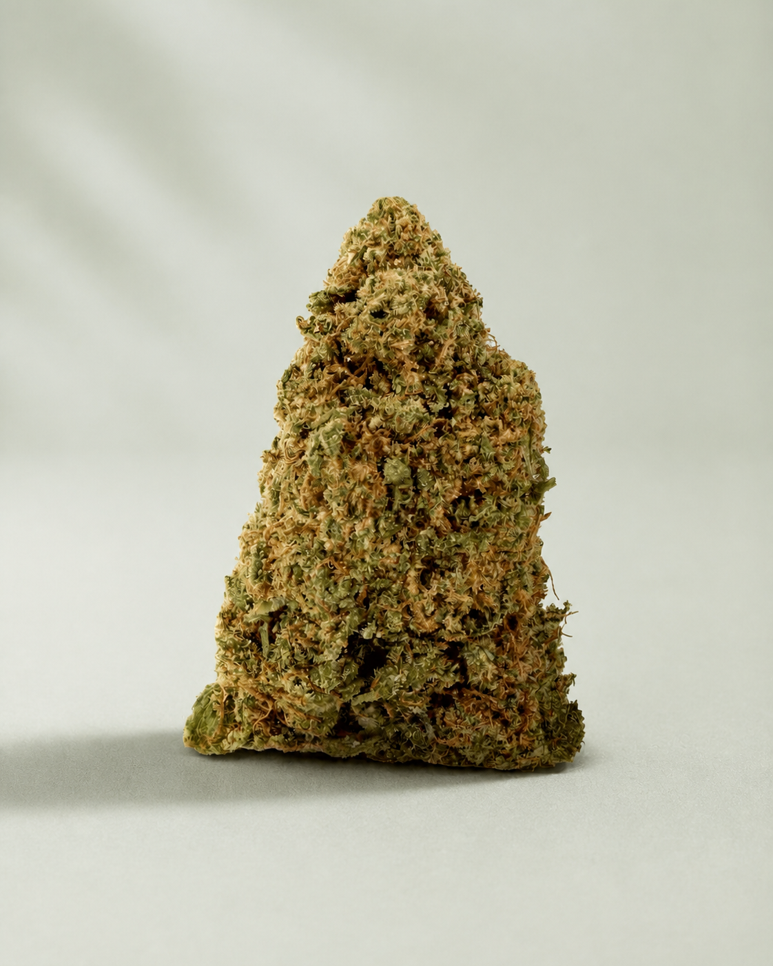 Flor de CBD MAC sur fond Beldia vert sauge