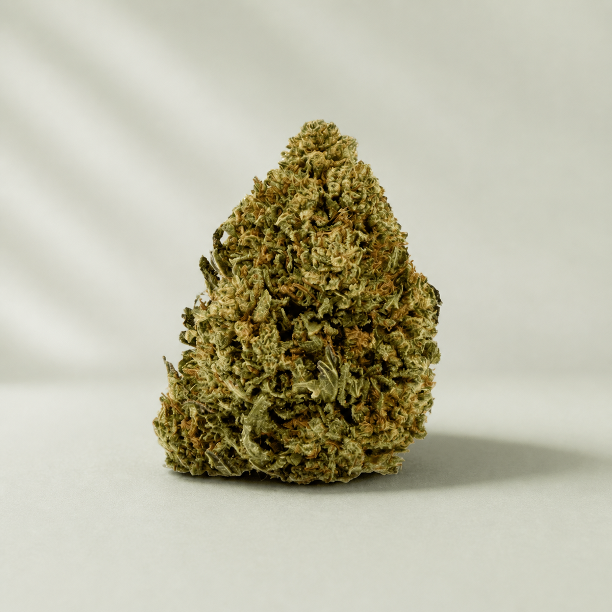 OG Kush CBD sur fond Beldia vert sauge clair