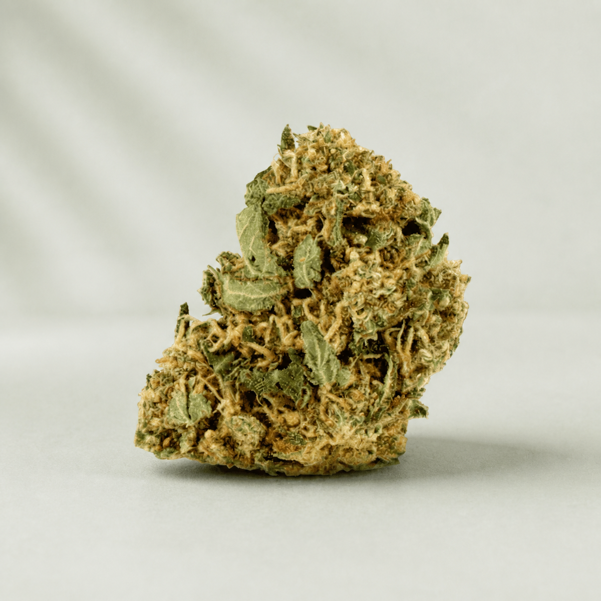 Orange Bud CBD sur fond Beldia vert sauge clair
