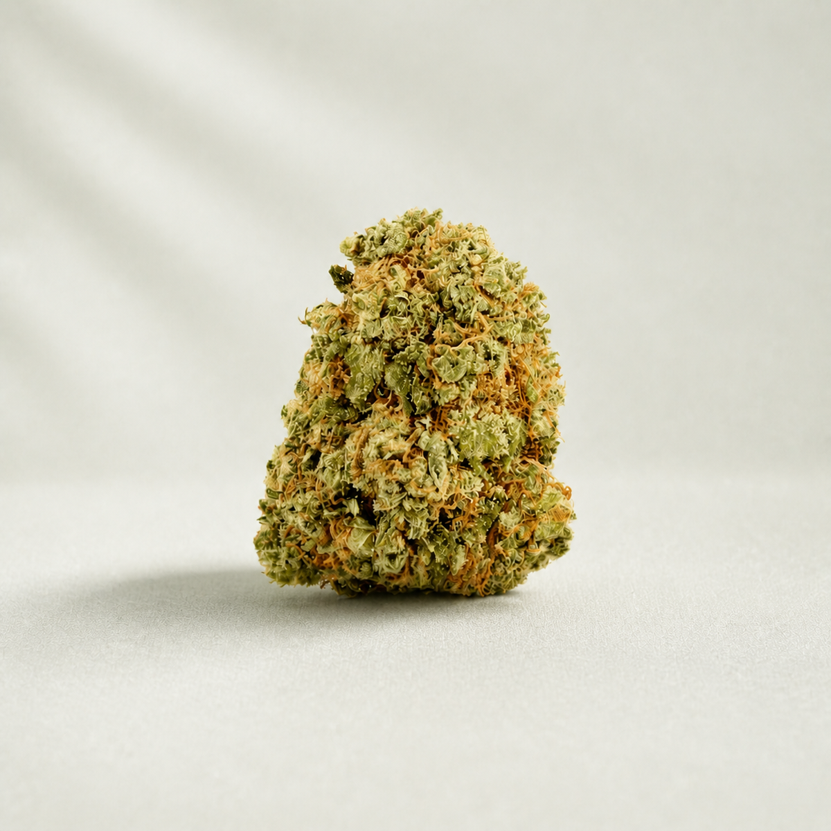 Papaya CBD sur fond Beldia vert sauge clair