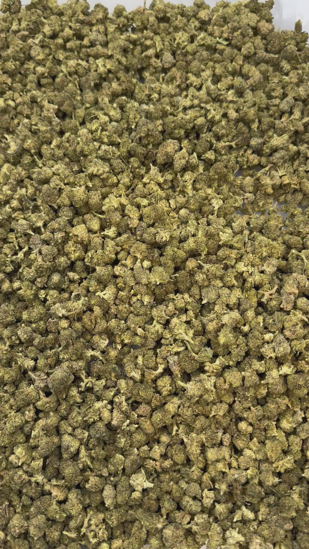 Flor Cannatonic 10-OH 50%, 15 g