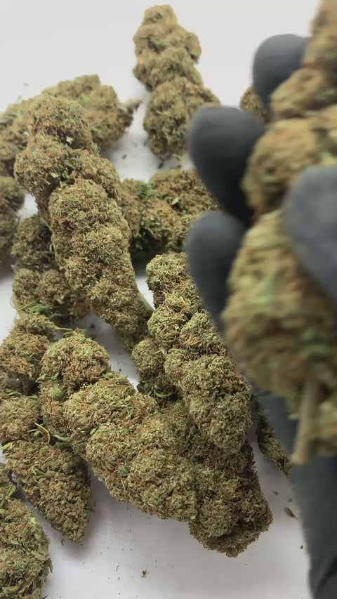 Flor de CBD Lemon Haze Premium, 3g