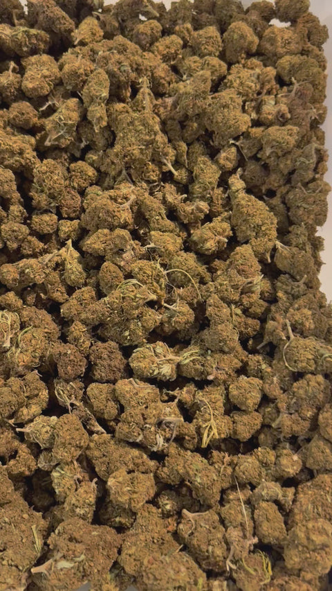 Flor de CBD Harlequin, 15 Gramas