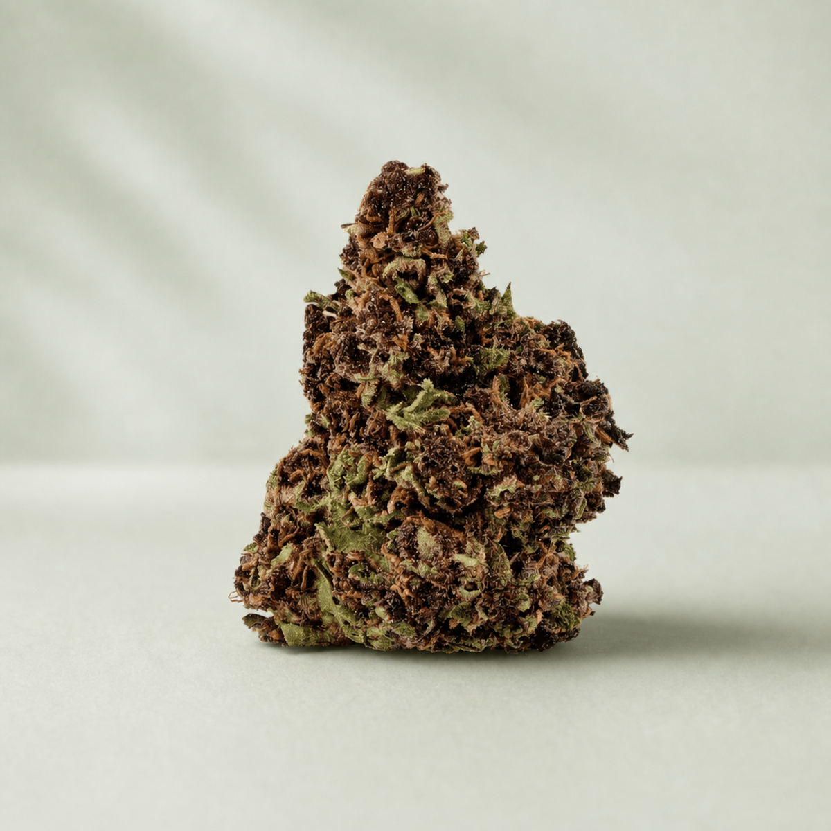 Purple Haze CBD sur fond Beldia vert sauge clair