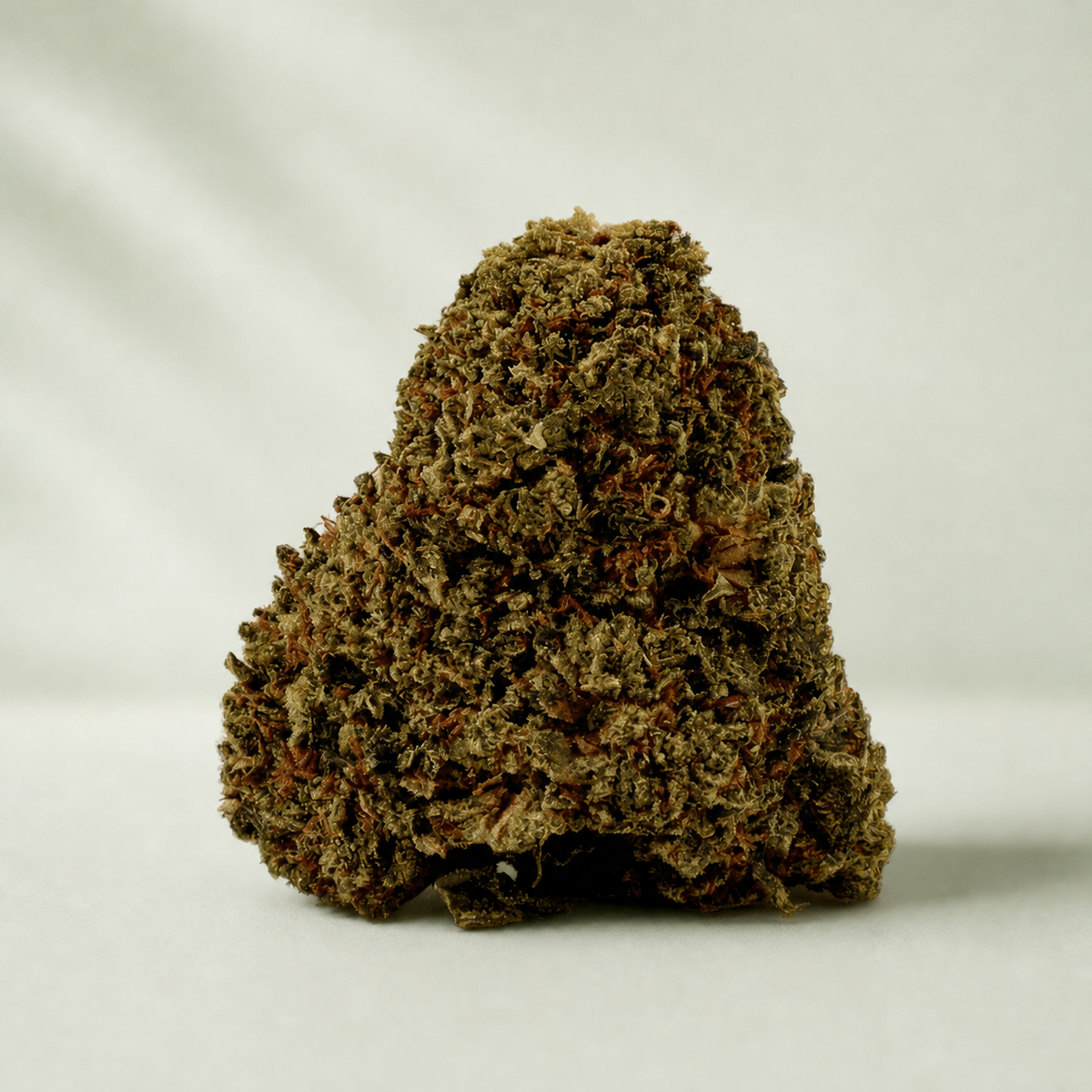Royal Cheese CBD sur fond Beldia vert sauge clair