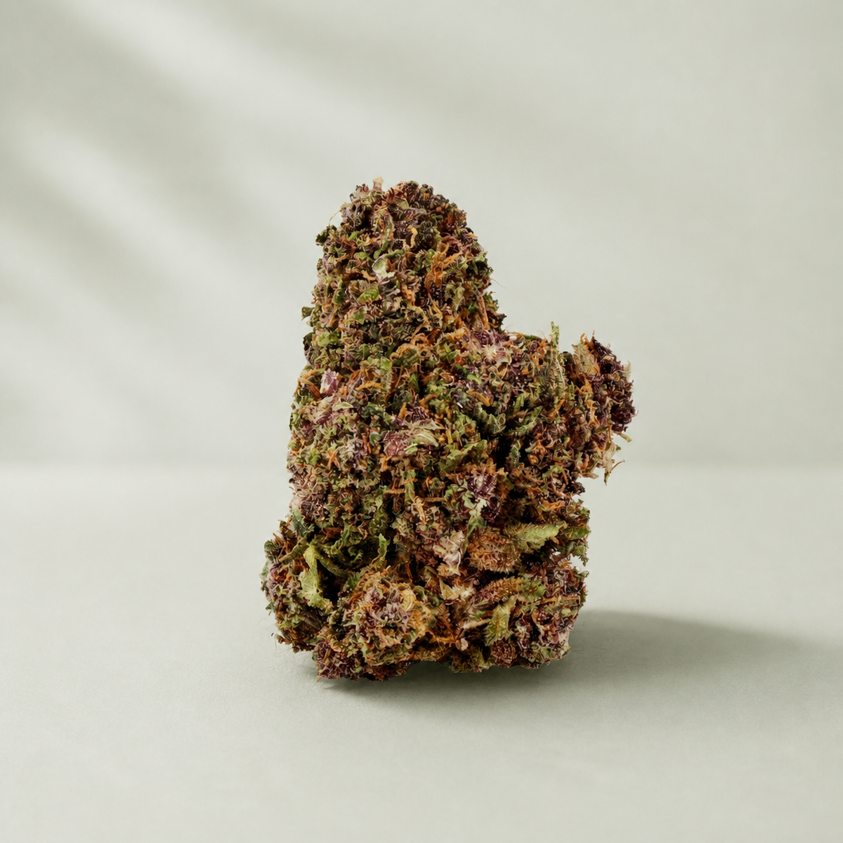 Sour Diesel CBD sur fond Beldia vert sauge clair