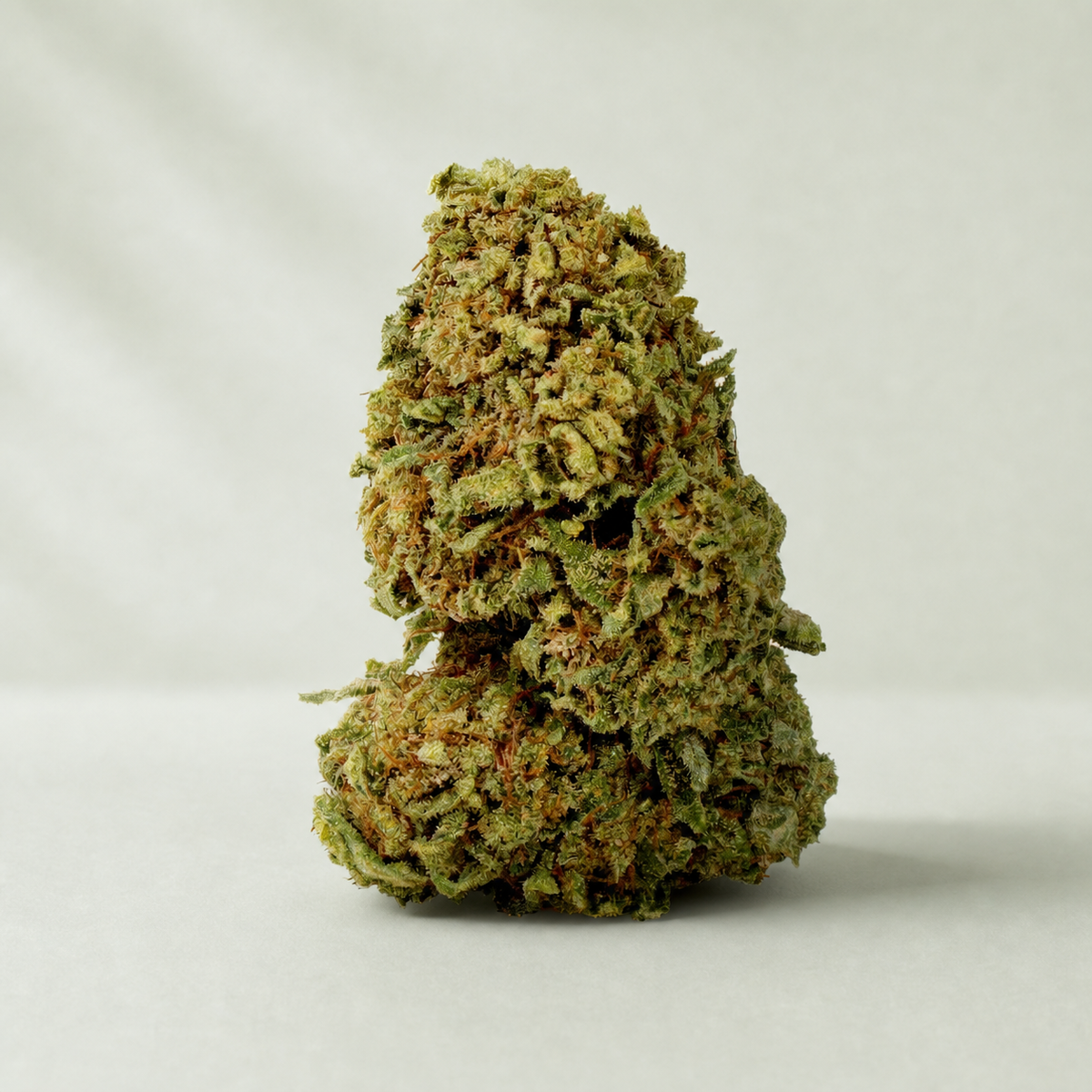 Super Skunk CBD sur fond Beldia vert sauge clair