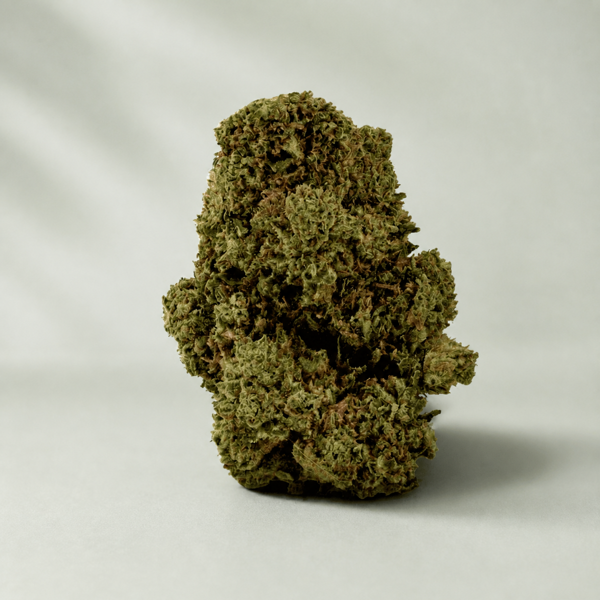 Tutti Frutti CBD sur fond Beldia vert sauge clair