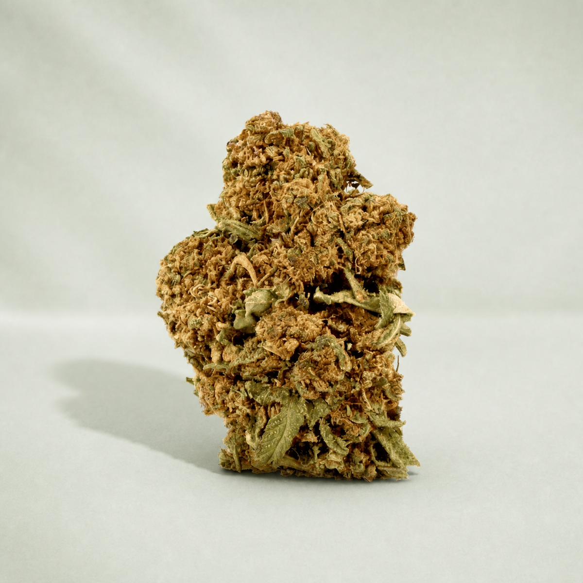 White Widow CBD sur fond Beldia vert sauge clair