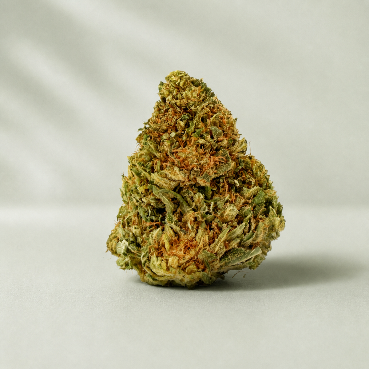 Zkittlez CBD sur fond Beldia vert sauge clair